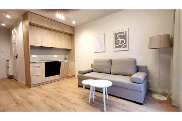 małopolskie, Krak&oacute;w, Zabłocie, Romanowicza, 1-pokojowe, ul. Romanowicza, Zabłocie